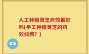 人工种植灵芝药效果好吗(手工种植灵芝的药效如何？)