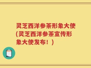 灵芝西洋参茶形象大使(灵芝西洋参茶宣传形象大使发布！)