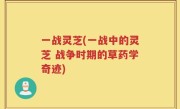 一战灵芝(一战中的灵芝 战争时期的草药学奇迹)