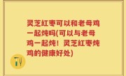 灵芝红枣可以和老母鸡一起炖吗(可以与老母鸡一起炖！灵芝红枣炖鸡的健康好处)