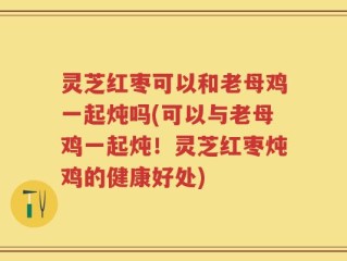 灵芝红枣可以和老母鸡一起炖吗(可以与老母鸡一起炖！灵芝红枣炖鸡的健康好处)