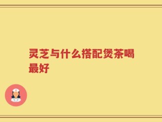 灵芝与什么搭配煲茶喝最好
