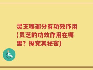 灵芝哪部分有功效作用(灵芝的功效作用在哪里？探究其秘密)