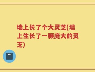 墙上长了个大灵芝(墙上生长了一颗庞大的灵芝)