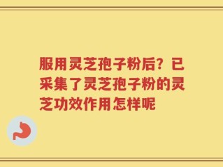 服用灵芝孢子粉后？已采集了灵芝孢子粉的灵芝功效作用怎样呢
