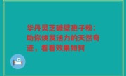 华丹灵芝破壁孢子粉:助你焕发活力的天然奇迹,看看效果如何