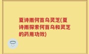 夏诗雨何首乌灵芝(夏诗雨探索何首乌和灵芝的药用功效)