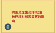 树舌灵芝生长环境(生长环境对树舌灵芝的影响