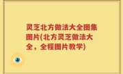 灵芝北方做法大全图集图片(北方灵芝做法大全，全程图片教学)