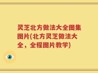 灵芝北方做法大全图集图片(北方灵芝做法大全，全程图片教学)