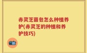 赤灵芝菌包怎么种植养护(赤灵芝的种植和养护技巧)
