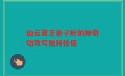 仙云灵芝孢子粉的神奇功效与独特价值