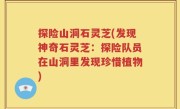 探险山洞石灵芝(发现神奇石灵芝：探险队员在山洞里发现珍惜植物)