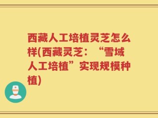 西藏人工培植灵芝怎么样(西藏灵芝：“雪域人工培植”实现规模种植)