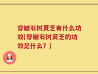 穿破石树灵芝有什么功效(穿破石树灵芝的功效是什么？)