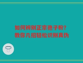 如何辨别正宗孢子粉？教你几招轻松识别真伪
