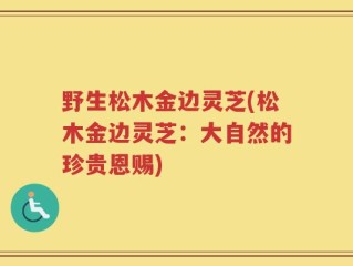 野生松木金边灵芝(松木金边灵芝：大自然的珍贵恩赐)