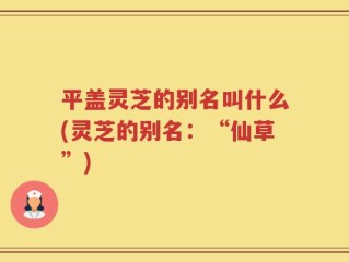 平盖灵芝的别名叫什么(灵芝的别名：“仙草”)