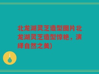 北龙湖灵芝造型图片北龙湖灵芝造型惊艳，演绎自然之美)