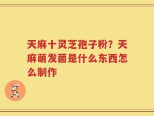天麻十灵芝孢子粉？天麻萌发菌是什么东西怎么制作