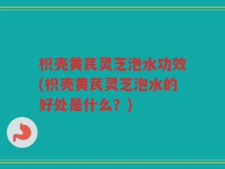 枳壳黄芪灵芝泡水功效(枳壳黄芪灵芝泡水的好处是什么？)