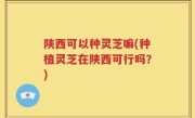 陕西可以种灵芝嘛(种植灵芝在陕西可行吗？)