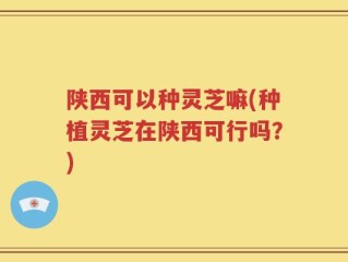 陕西可以种灵芝嘛(种植灵芝在陕西可行吗？)