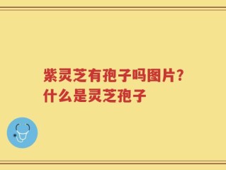 紫灵芝有孢子吗图片？什么是灵芝孢子
