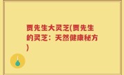 贾先生大灵芝(贾先生的灵芝：天然健康秘方)