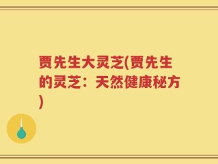 贾先生大灵芝(贾先生的灵芝：天然健康秘方)