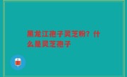 黑龙江孢子灵芝粉？什么是灵芝孢子