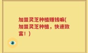 加盟灵芝种植赚钱嘛(加盟灵芝种植，快速致富！)