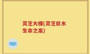 灵芝大棵(灵芝巨木 生命之泉)