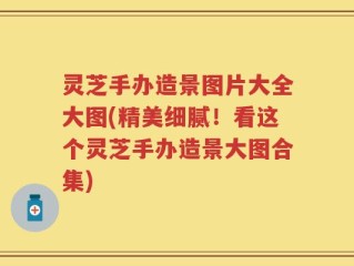 灵芝手办造景图片大全大图(精美细腻！看这个灵芝手办造景大图合集)