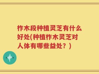 柞木段种植灵芝有什么好处(种植柞木灵芝对人体有哪些益处？)