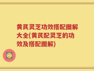 黄芪灵芝功效搭配图解大全(黄芪配灵芝的功效及搭配图解)