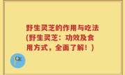 野生灵芝的作用与吃法(野生灵芝：功效及食用方式，全面了解！)