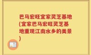 巴马宏旺宜家灵芝基地(宜家巴马宏旺灵芝基地重现江南水乡的美景)