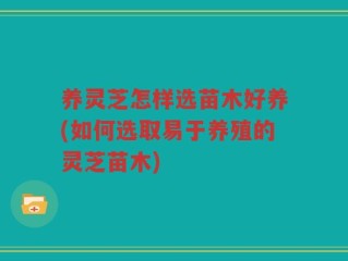 养灵芝怎样选苗木好养(如何选取易于养殖的灵芝苗木)