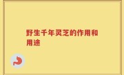 野生千年灵芝的作用和用途