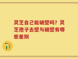 灵芝自己能破壁吗？灵芝孢子去壁与破壁有哪些差别