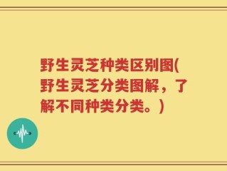 野生灵芝种类区别图(野生灵芝分类图解，了解不同种类分类。)