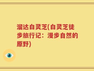 溜达白灵芝(白灵芝徒步旅行记：漫步自然的原野)