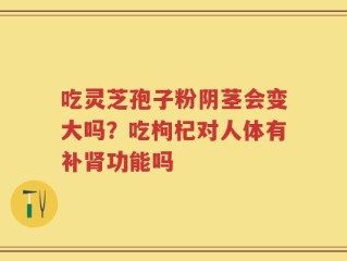 吃灵芝孢子粉阴茎会变大吗？吃枸杞对人体有补肾功能吗