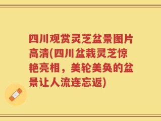 四川观赏灵芝盆景图片高清(四川盆栽灵芝惊艳亮相，美轮美奂的盆景让人流连忘返)