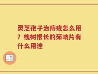 灵芝孢子治痔疮怎么用？槐树根长的茹响片有什么用途