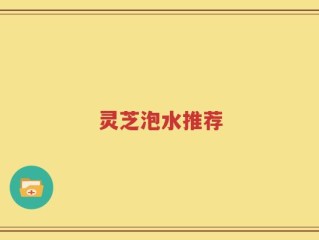 灵芝泡水推荐