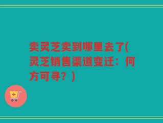 卖灵芝卖到哪里去了(灵芝销售渠道变迁：何方可寻？)
