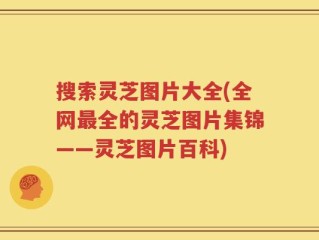 搜索灵芝图片大全(全网最全的灵芝图片集锦——灵芝图片百科)