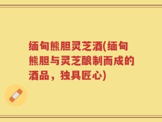 缅甸熊胆灵芝酒(缅甸熊胆与灵芝酿制而成的酒品，独具匠心)